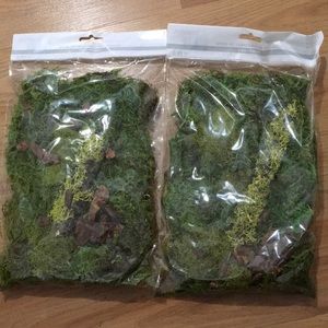 Moss kit, lot of two, Reindeer moss by Ashland